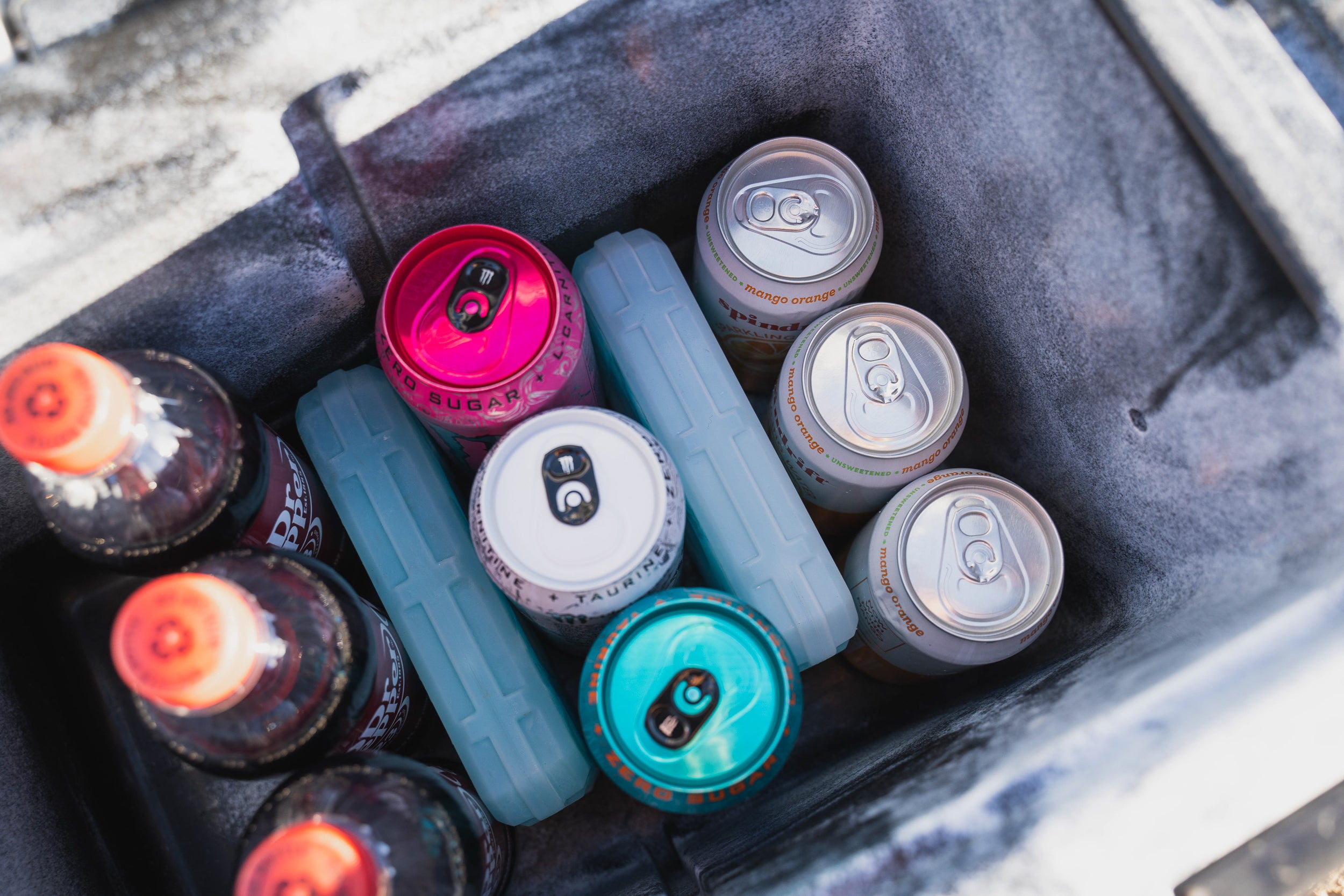 ROAM Ice Pack - Sherpa Equipment Company