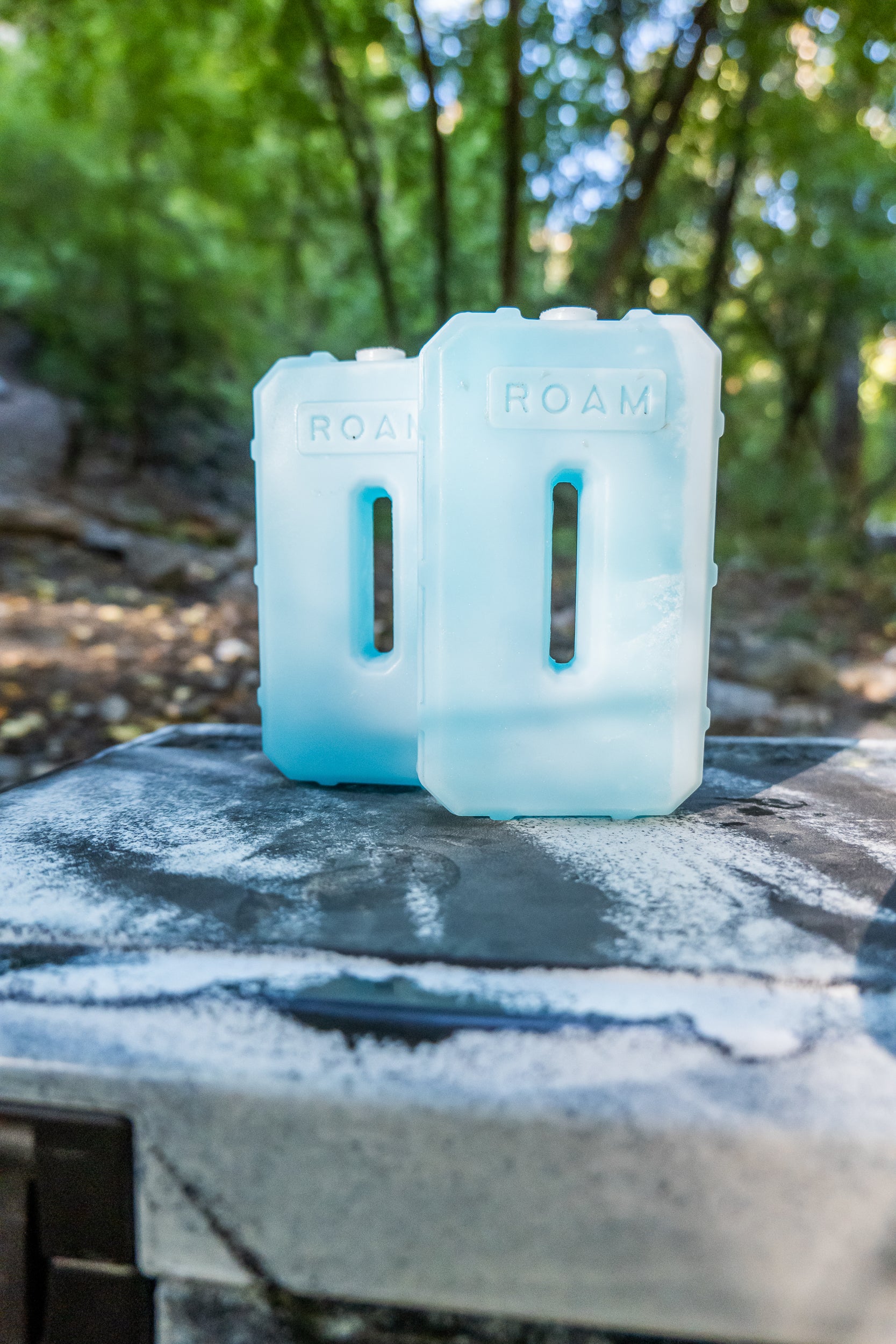 ROAM Ice Pack - Sherpa Equipment Company