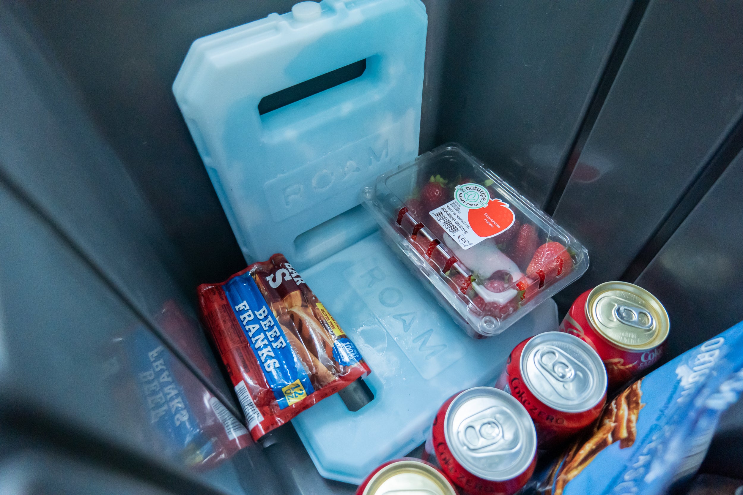 ROAM Ice Pack - Sherpa Equipment Company