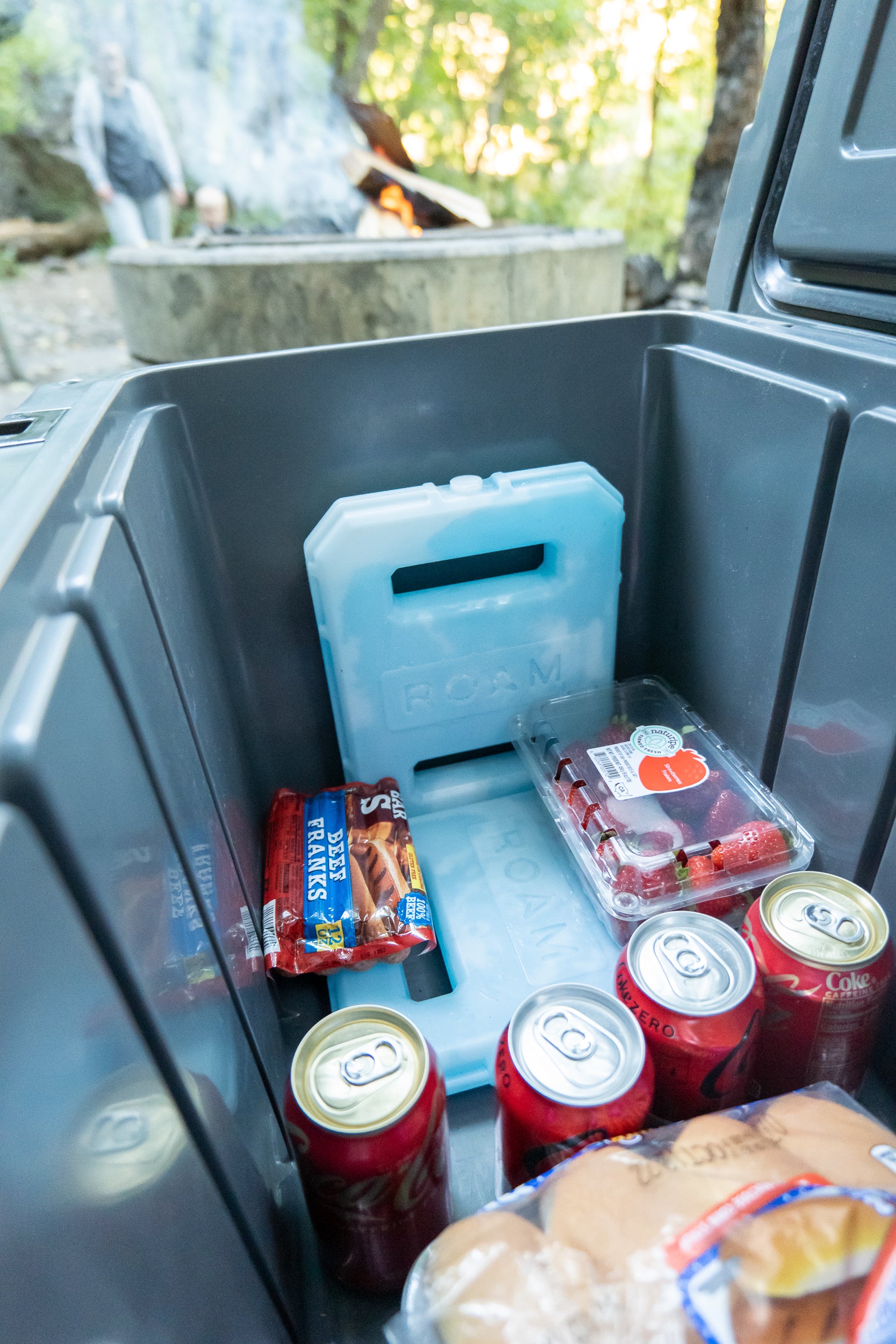 ROAM Ice Pack - Sherpa Equipment Company