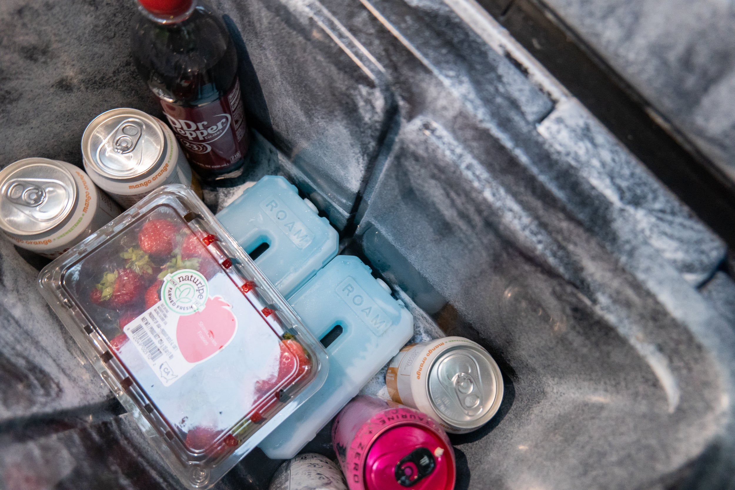 ROAM Ice Pack - Sherpa Equipment Company