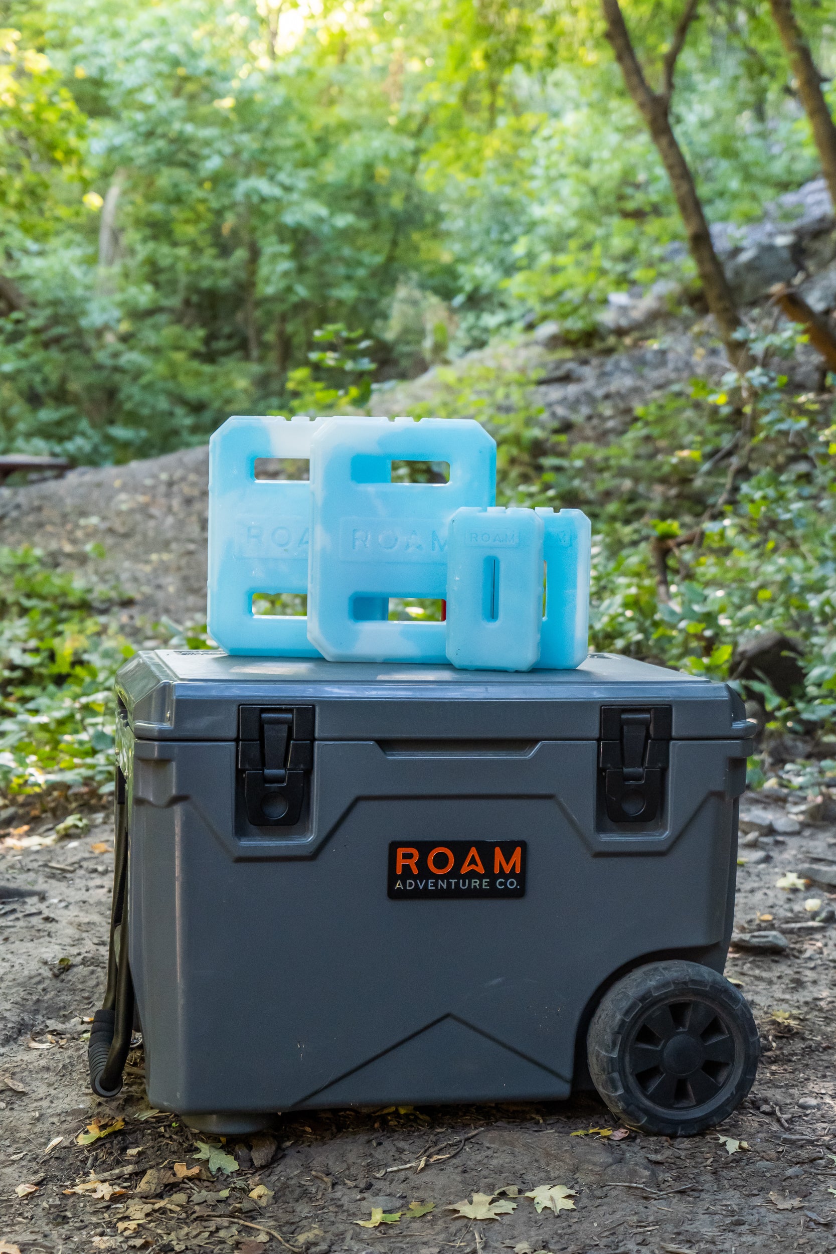 ROAM Ice Pack